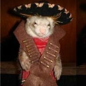 Meet your Posher, Rev. richard